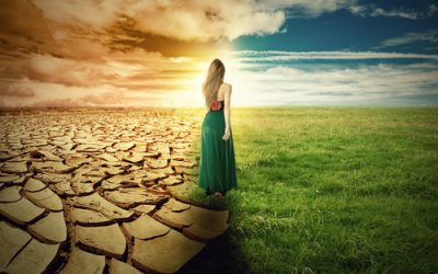 Radical Change for Profit